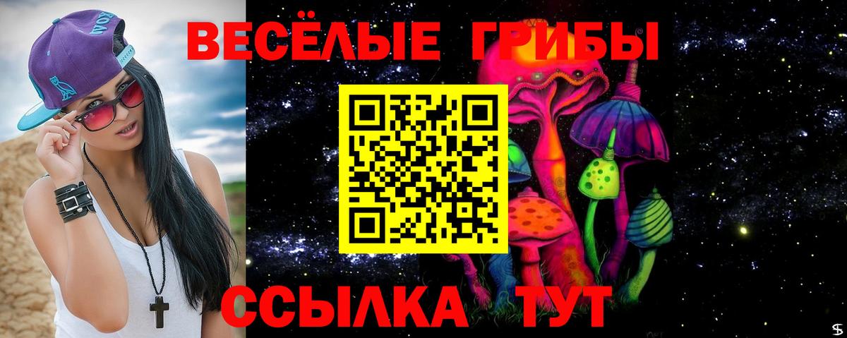 купить наркотики сайты  Галлюциногенные грибы Cubensis  Татарск  Вход с VPN  Псилоцибиновые грибы MAGIC MUSHROOMS 